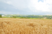 cascinale alle porte delle langhe (19)