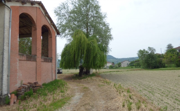 cascina nel monferrato (26)
