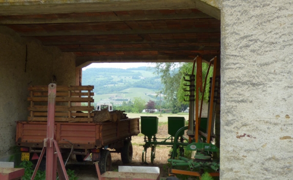 cascina nel monferrato (29)