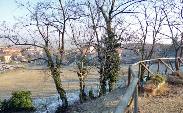 BandB_vendita_monferrato (46)