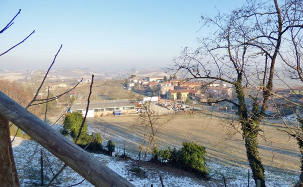 BandB_vendita_monferrato (47)