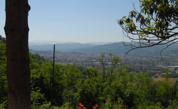 cascina vendita monferrato (10)