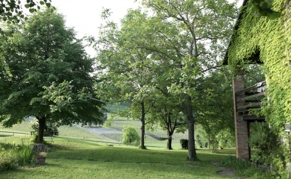 cascina vendita dogliani (13)