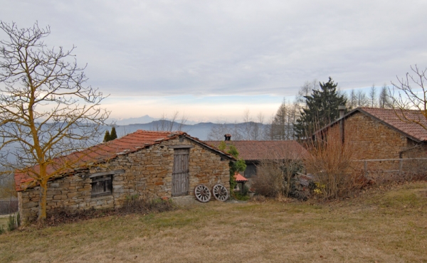 agriturismo_vendita_langhe (4)