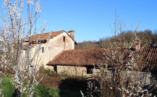 Cascina ex convento con terreno (109)