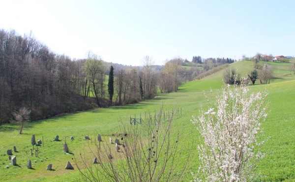 Cascina ex convento con terreno (115)