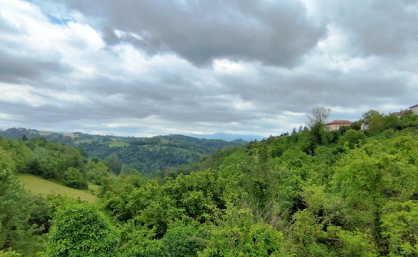 cascina_vendita_langhe (143)