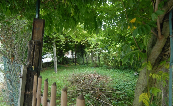 Casa-vendita-Serravalle-Langhe-(22)