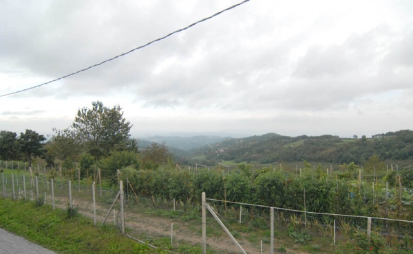 Casa-vendita-Serravalle-Langhe-(35)