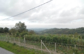 Casa-vendita-Serravalle-Langhe-(35)